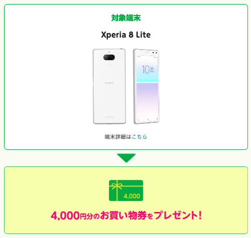 キャンペーン概要