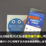BIGLOBEモバイルは翌月繰り越し可能！一番オトクに利用する方法を徹底解説します！